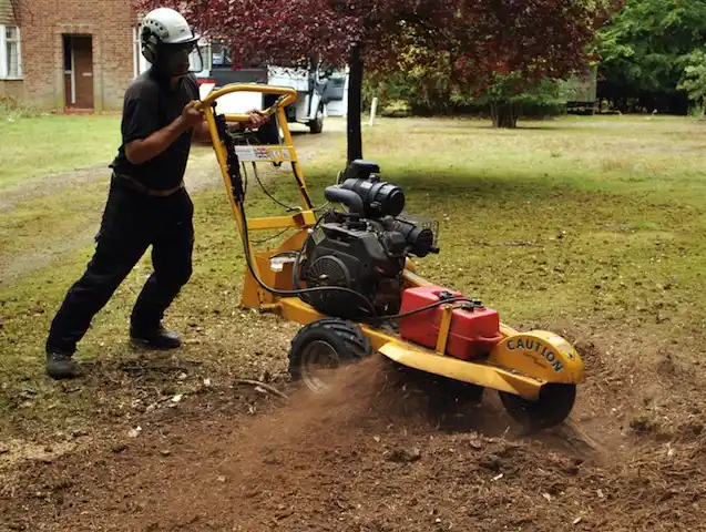 tree services Whitinsville